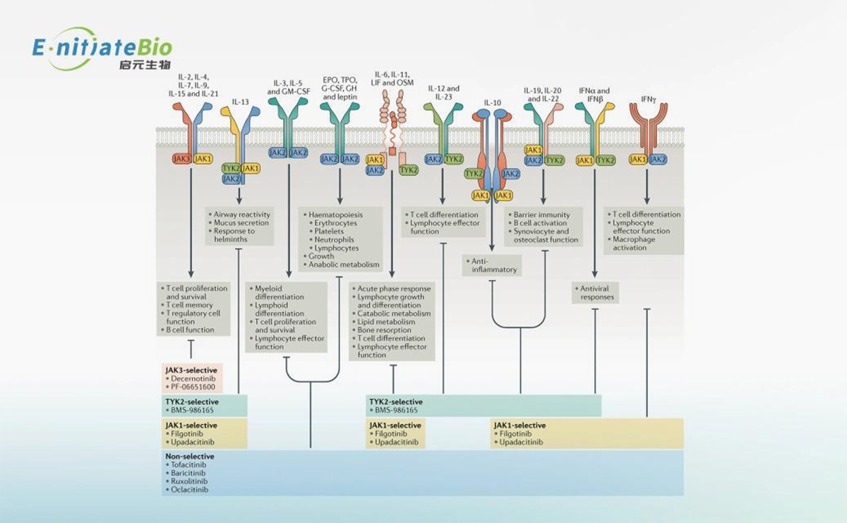 e135c0a5c02a220e3e5a0d1a13dde384.jpg e135c0a5c02a220e3e5a0d1a13dde384.jpg